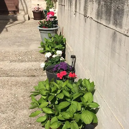 Bepa Lägenhet Makarska